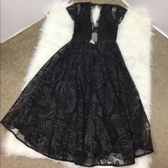 Saulee Alyssa Embroiled Mesh Fit &Flare Midi Dress - Picture 3 of 8